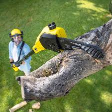 Best Lawn Watering Services  in Haddon Heights, NJ